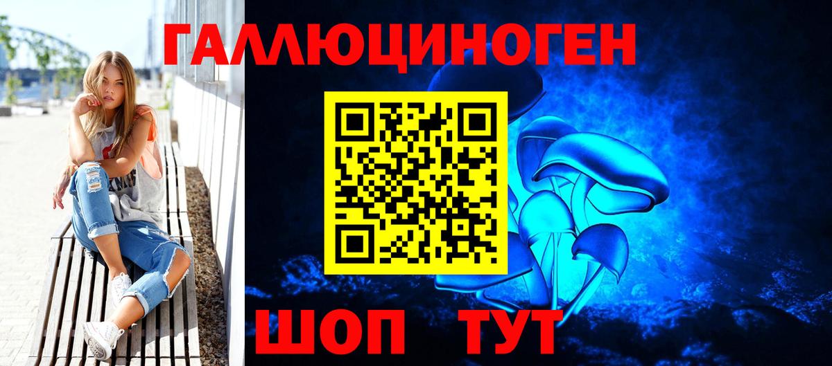 Севастополь  купить   Вход с VPN  Галлюциногенные грибы Cubensis 